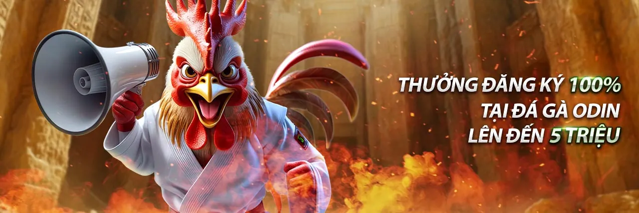 Banner khuyến mãi đá gà độc quyền tại game ok365